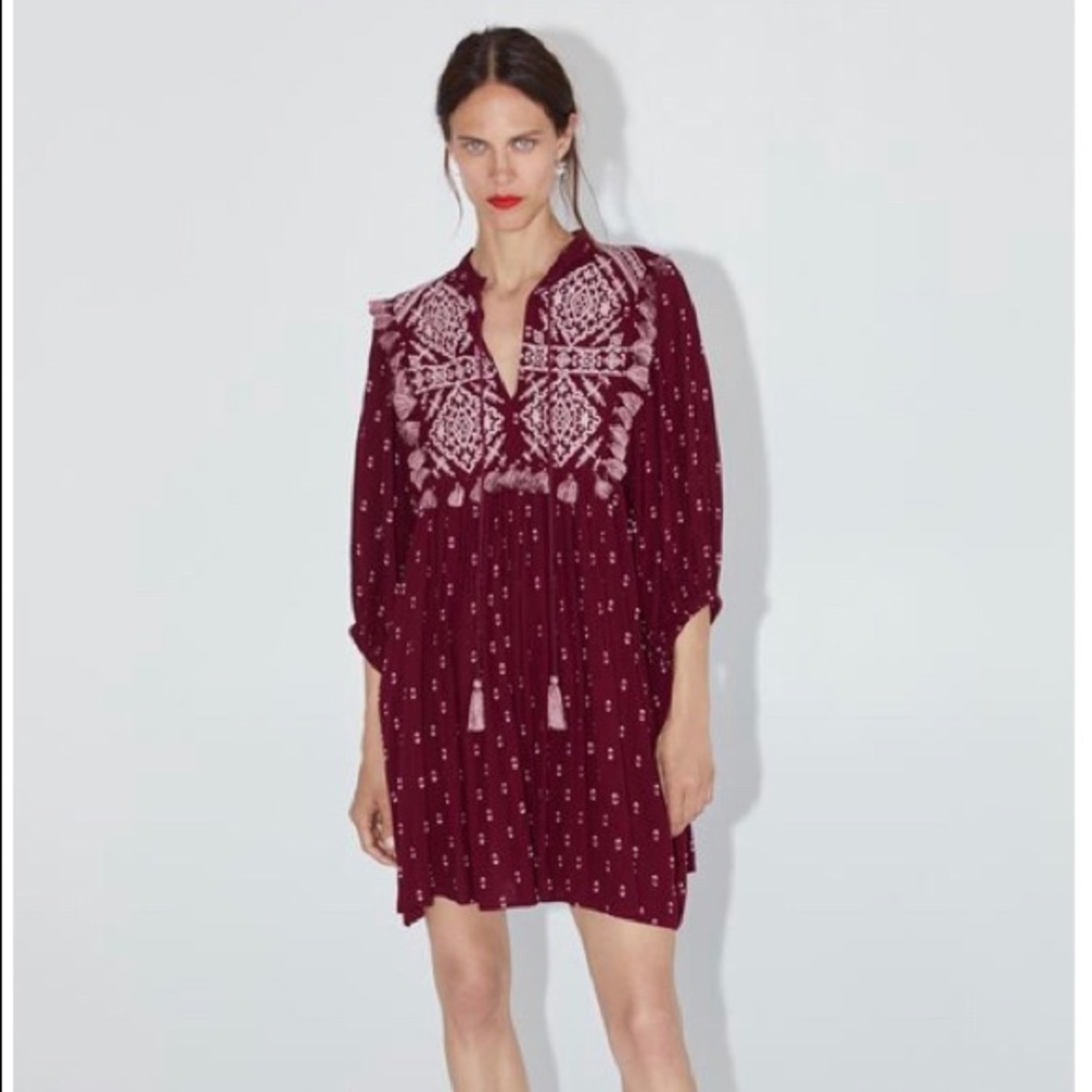 Zara embroidered fringe dress